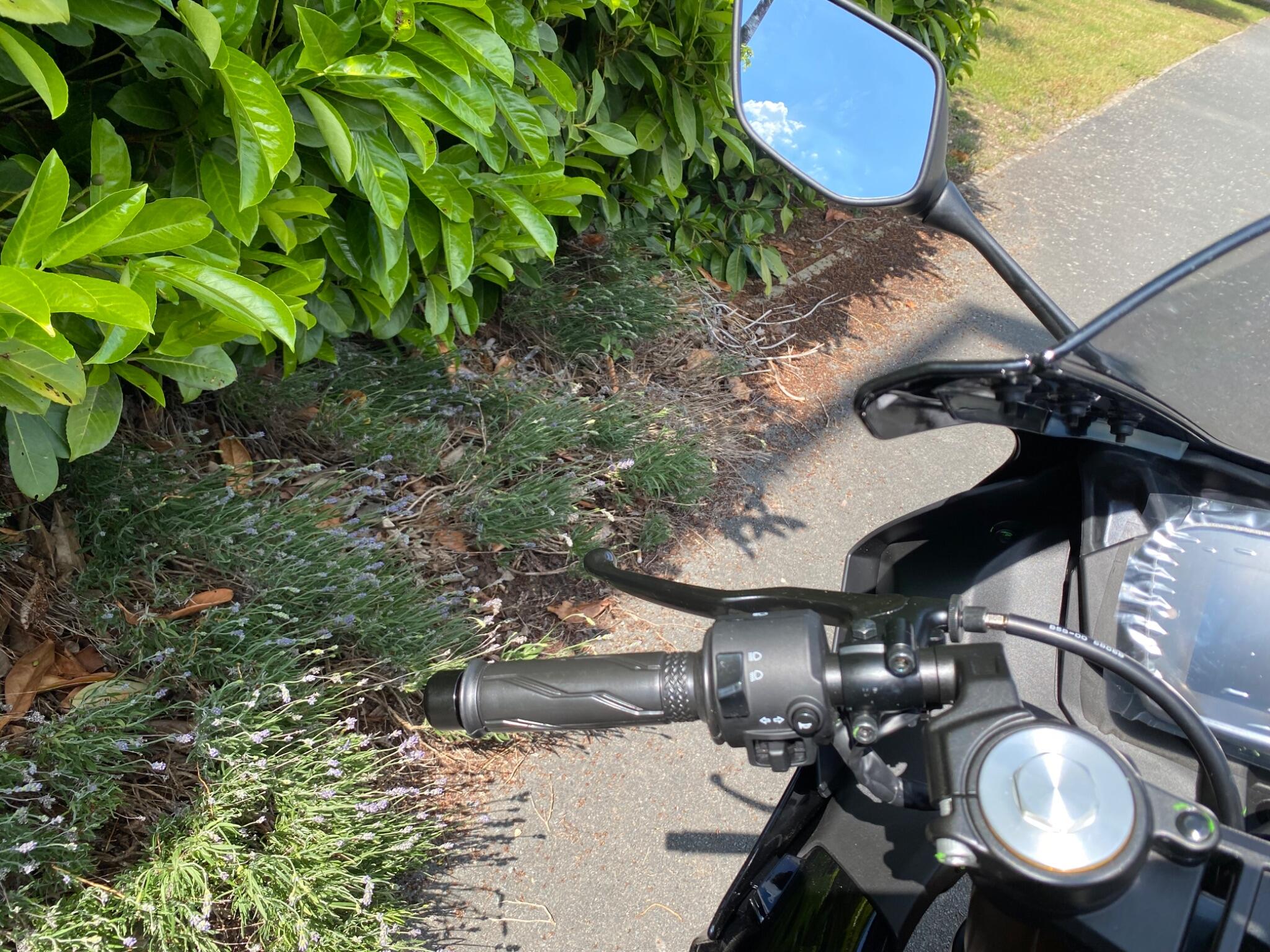 2026 Yamaha 125 Euro 5